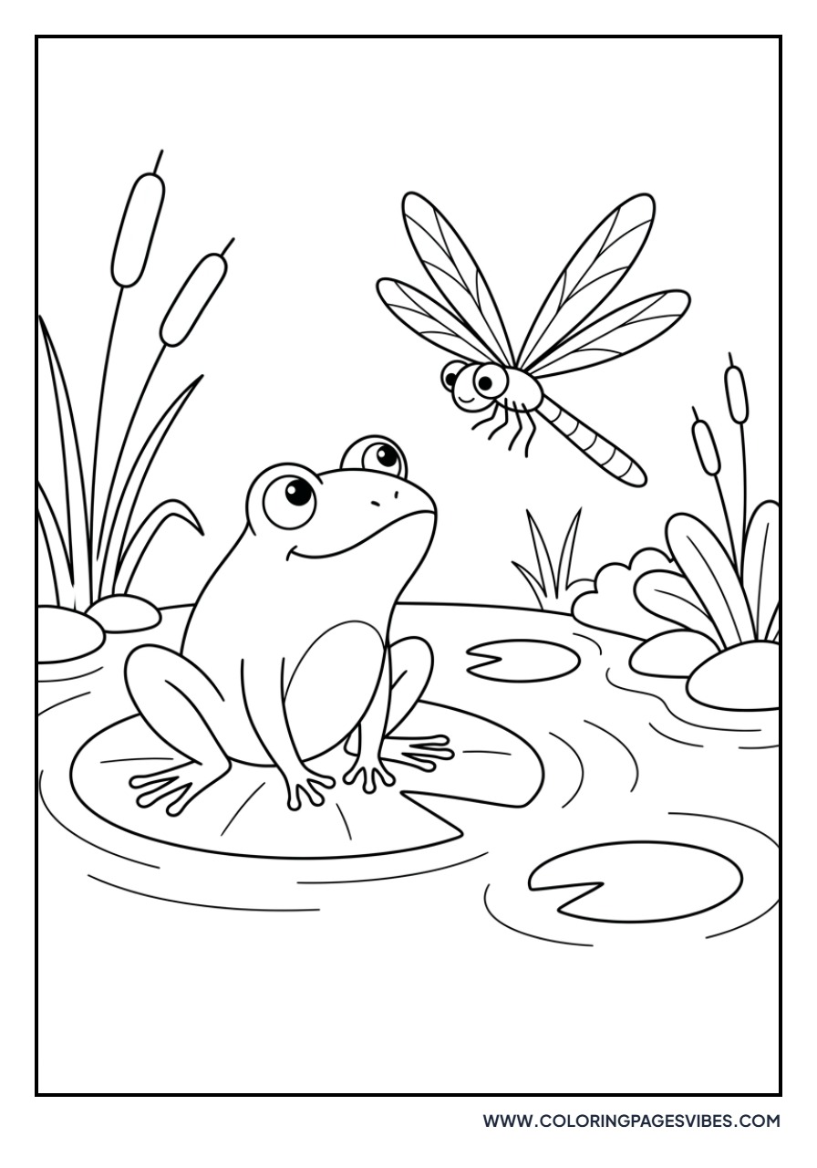 Frog and Dragonfly