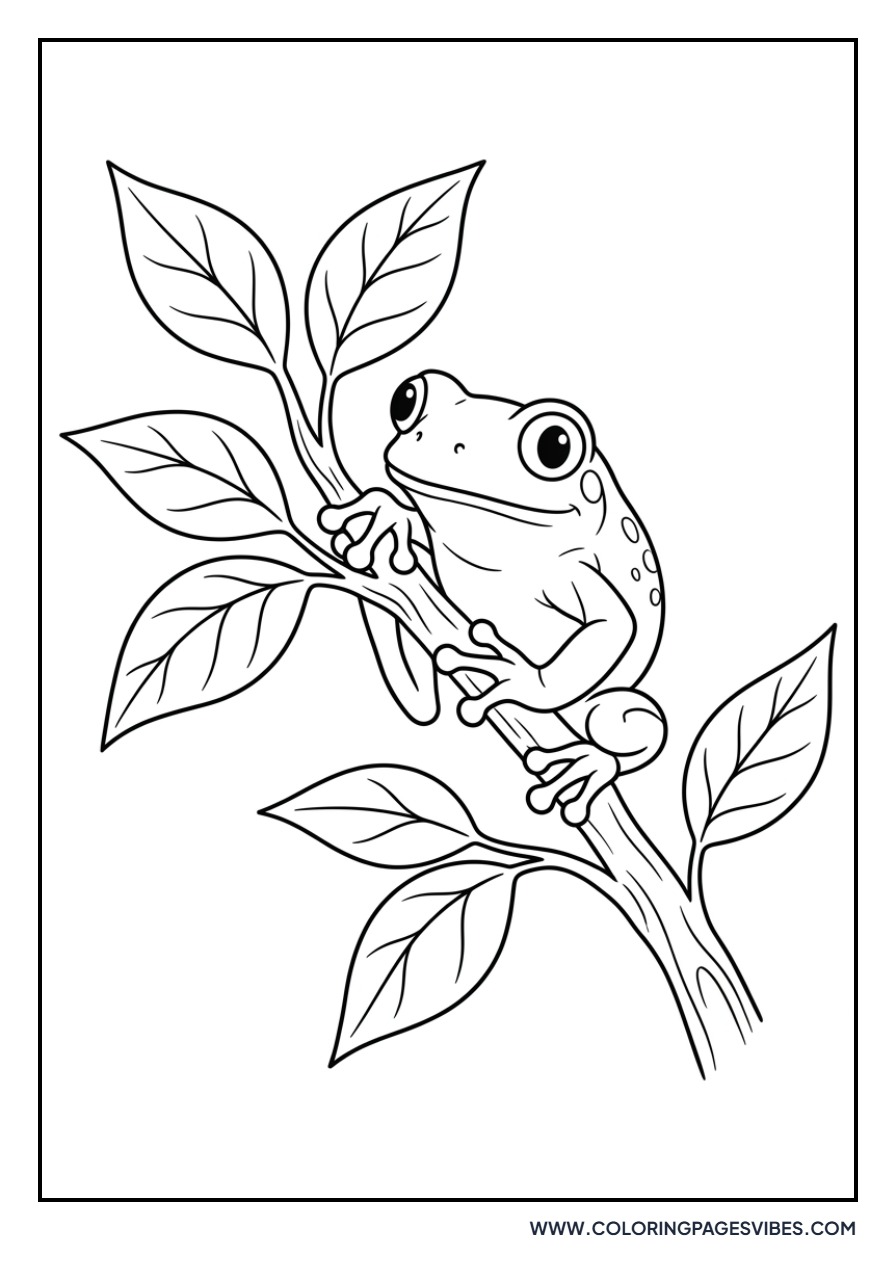 Tree Frog on a Branch