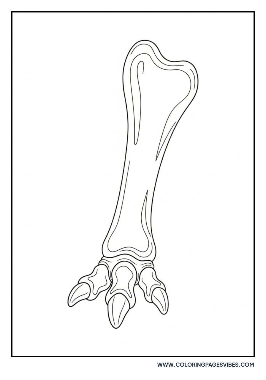 Giganotosaurus Lower Leg Fossil