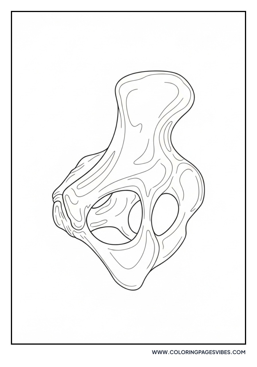 Giganotosaurus Pelvis Bone Fossil