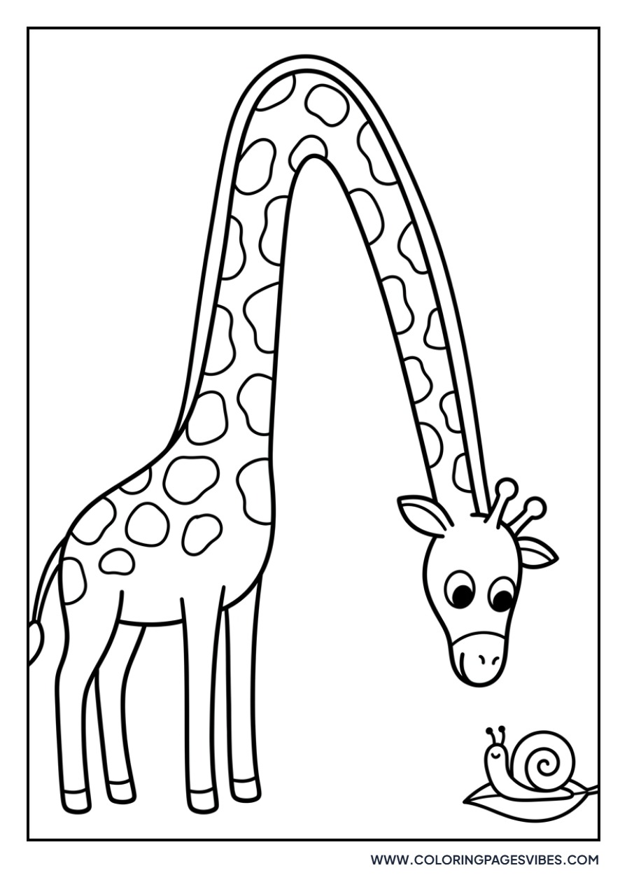 Giraffe and Snail