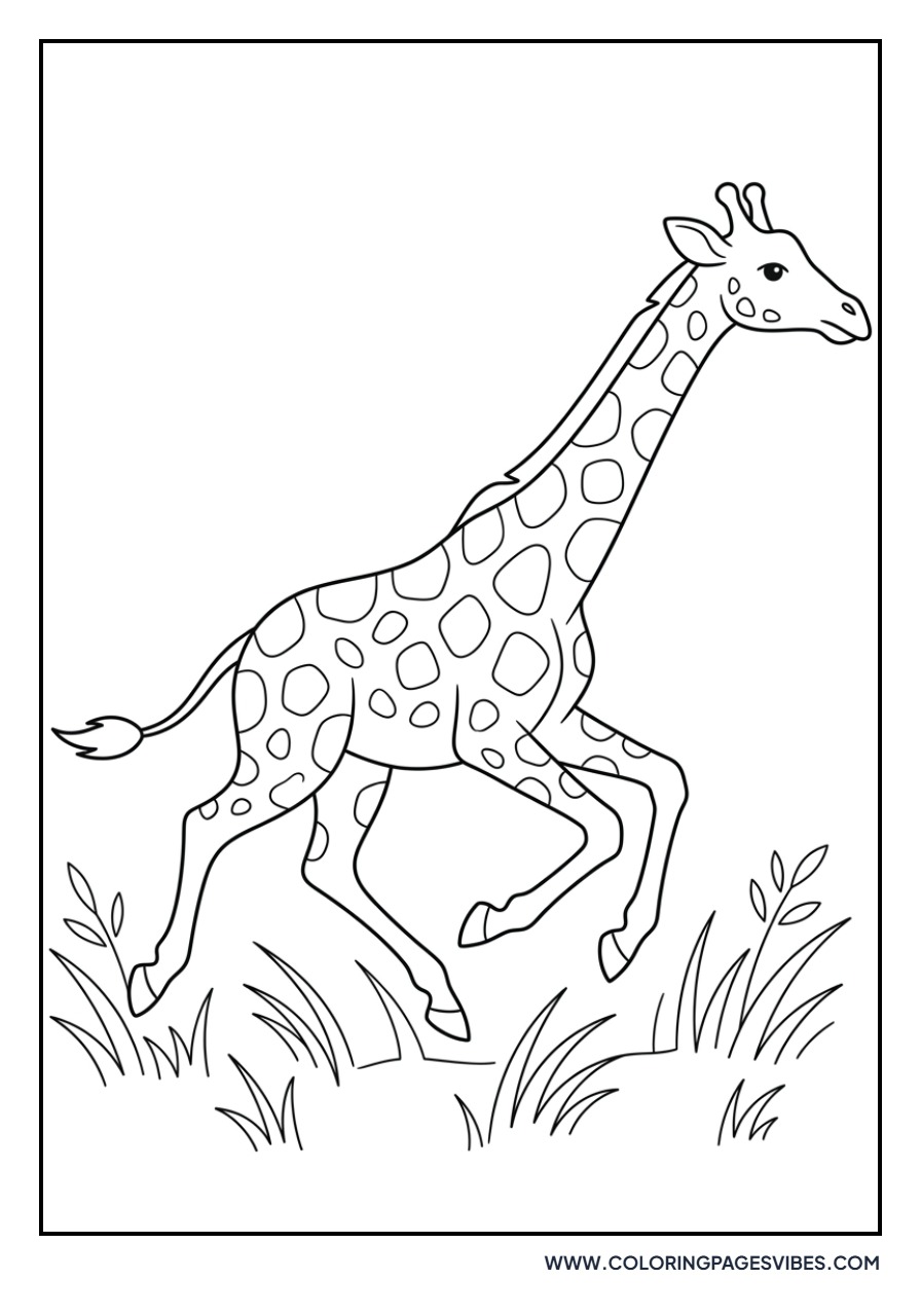 Giraffe Running