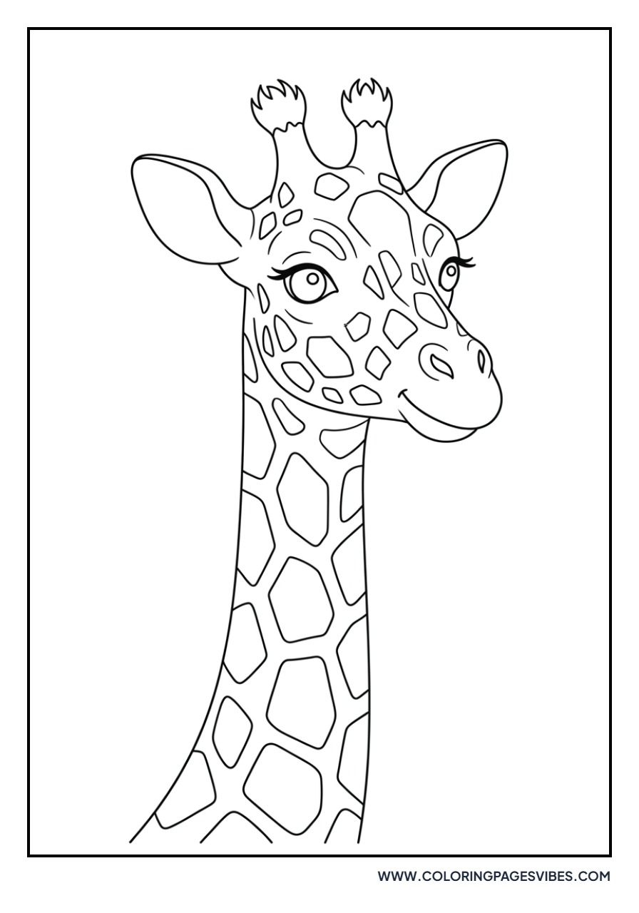 Giraffe with Large Spots