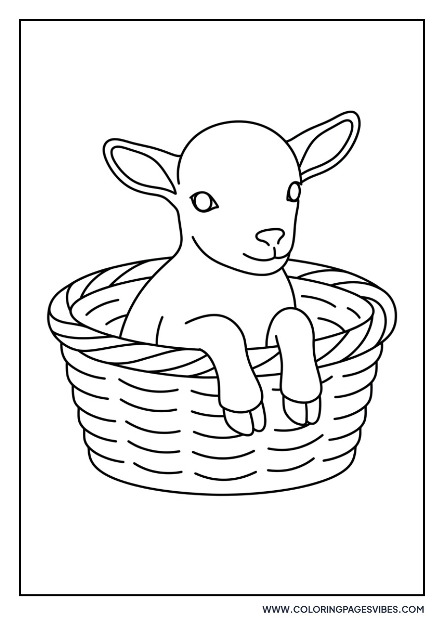 Baby Goat in a Basket