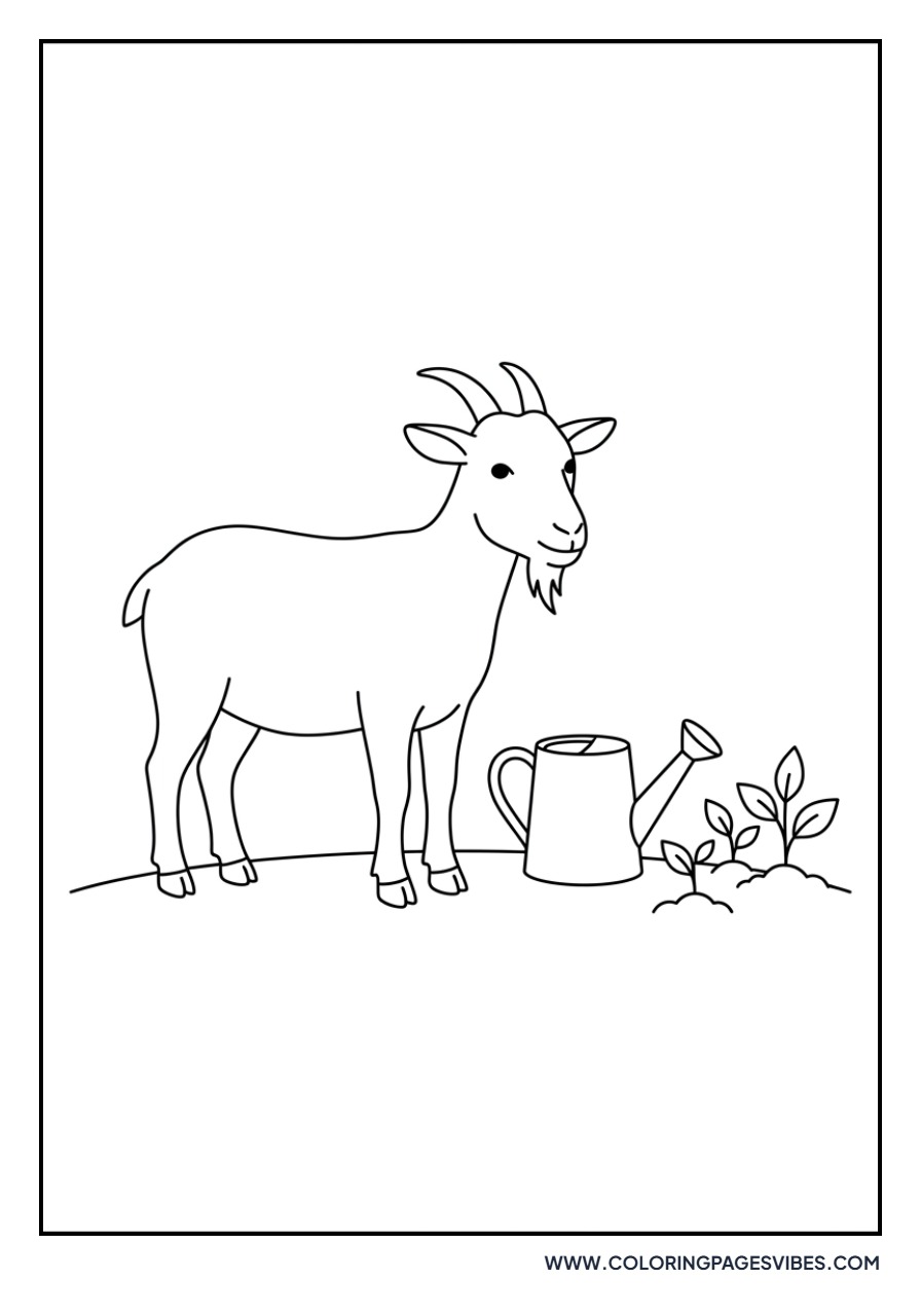 Goat and a Watering Can