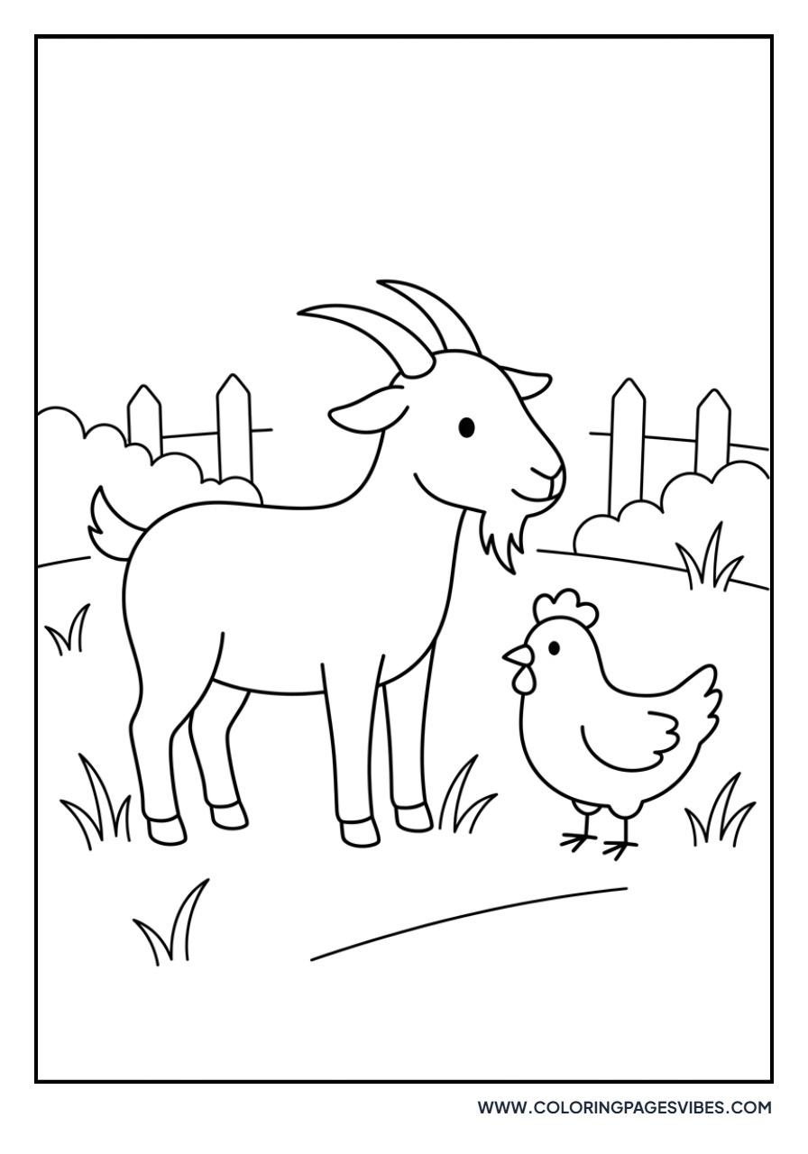 Goat and Chicken Friends