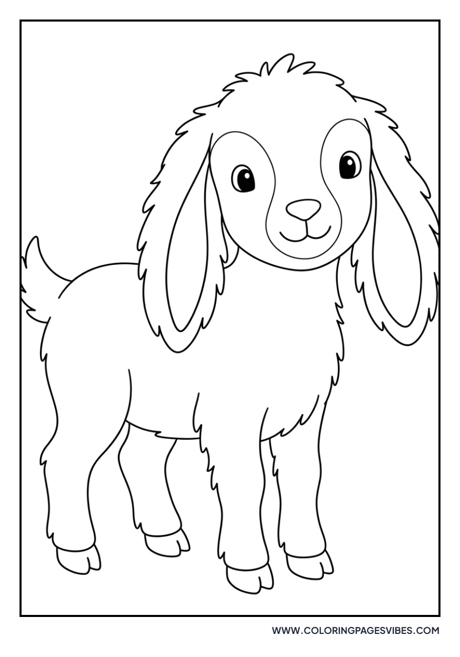 Goat with Big Fluffy Ears