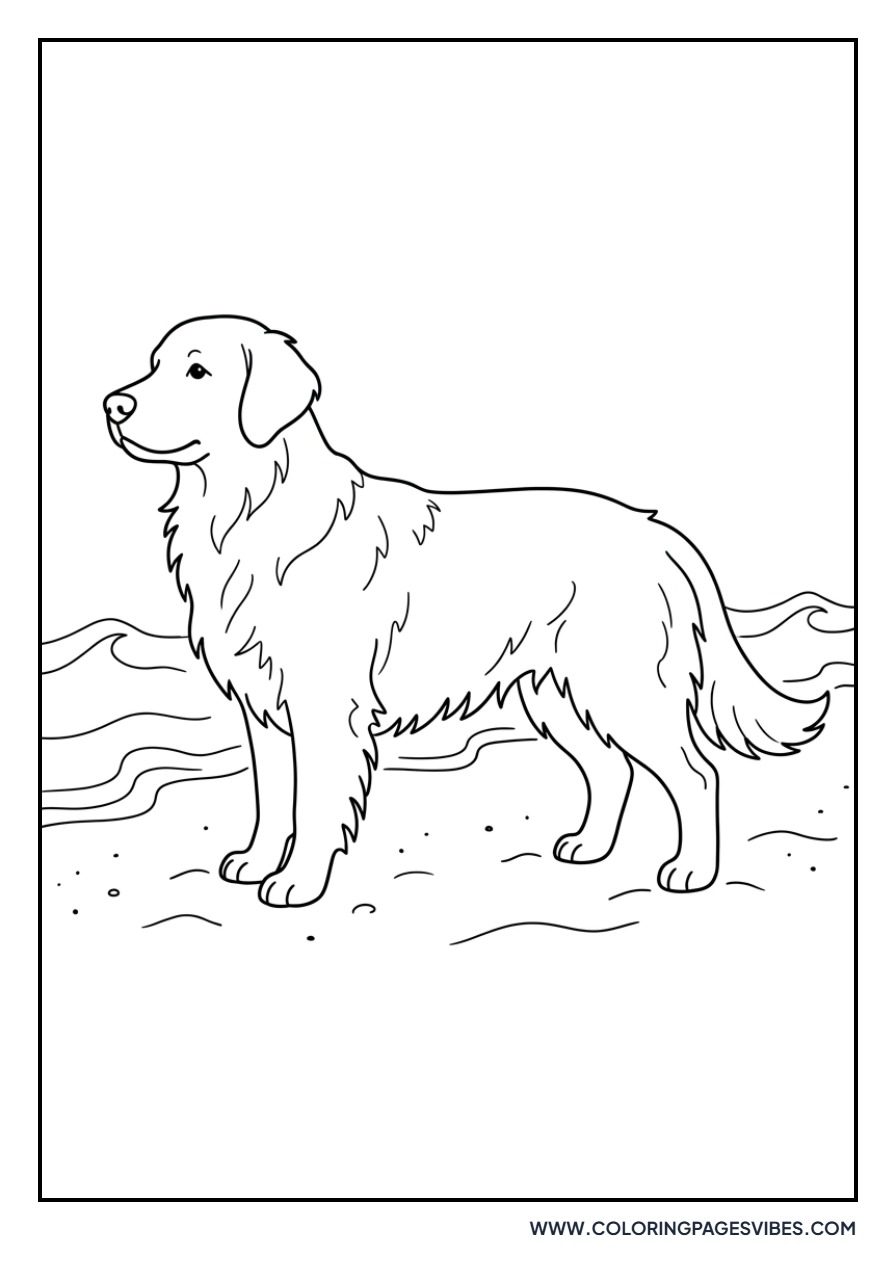 Golden Retriever at the Beach