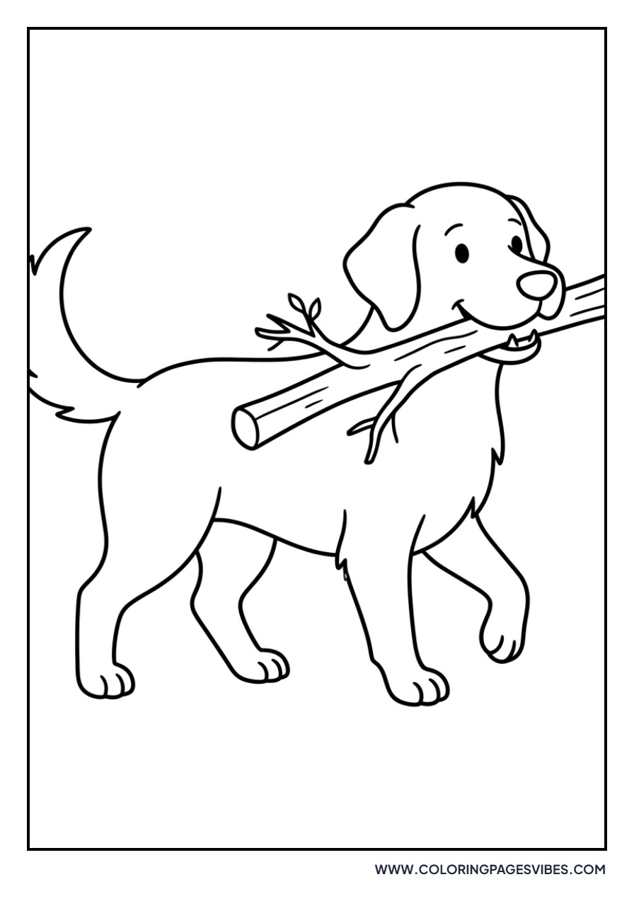 Golden Retriever Fetching a Stick