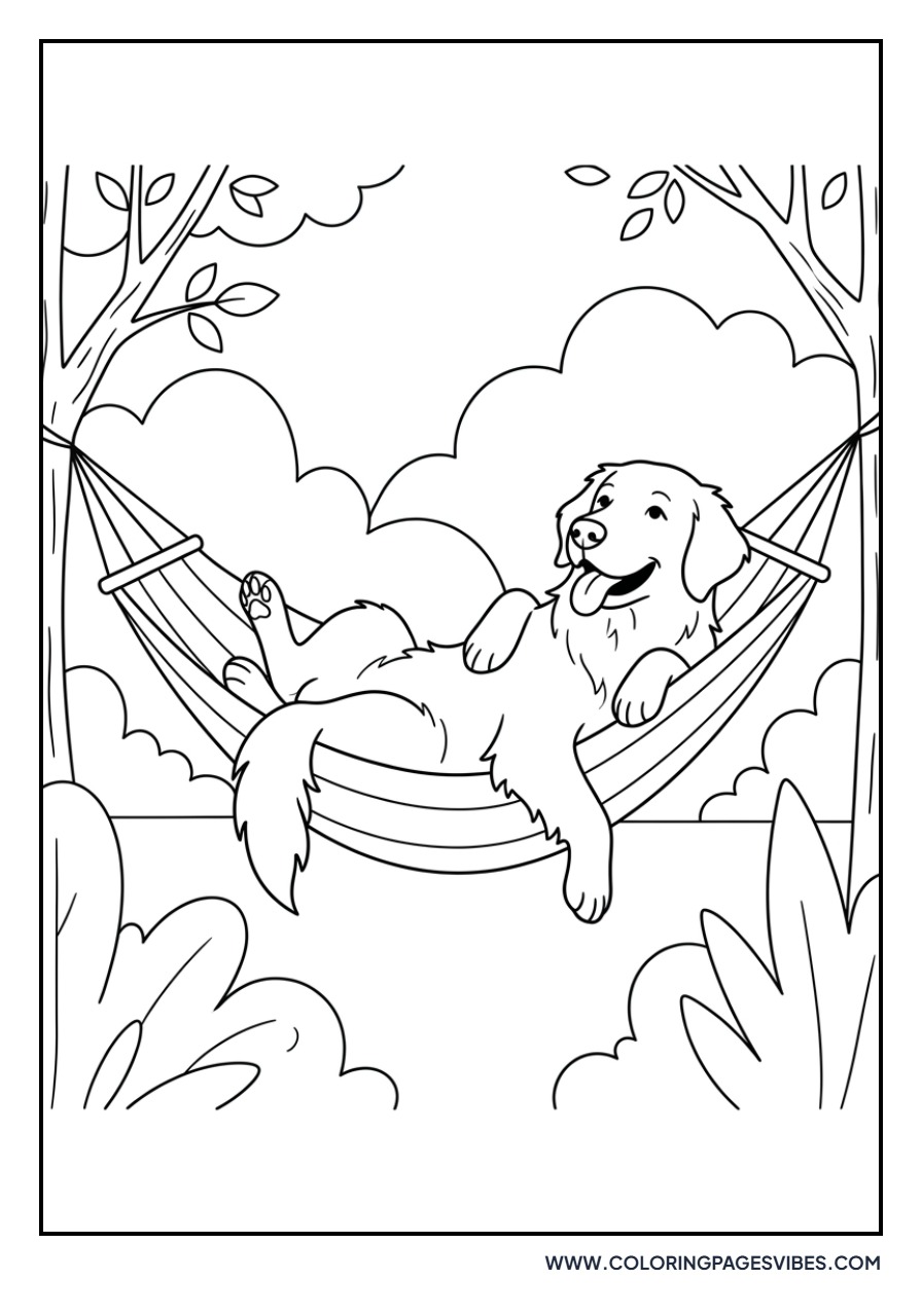 Golden Retriever in a Hammock