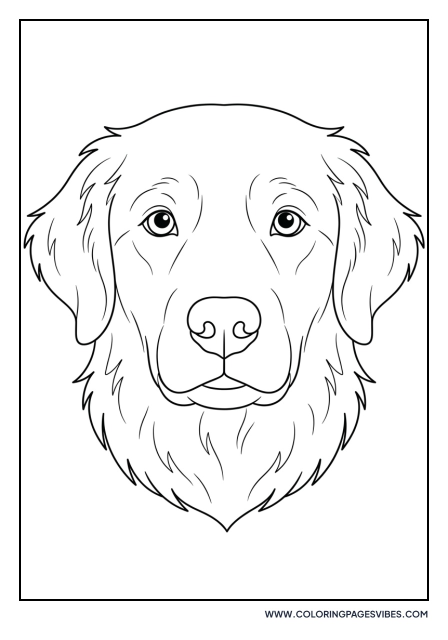 Golden Retriever Portrait Close-up