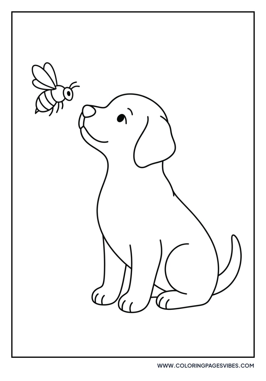 Golden Retriever Puppy and Bee
