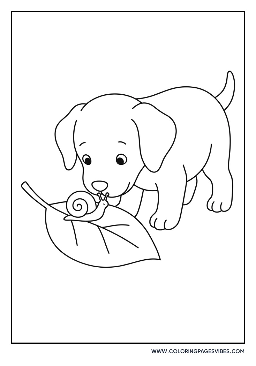 Golden Retriever Puppy and Snail