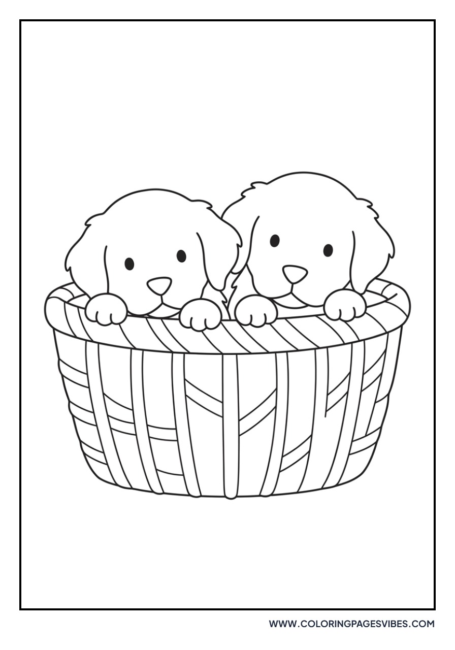 Golden Retriever Puppy in a Basket