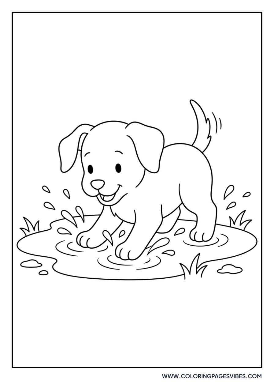 Golden Retriever Puppy in a Puddle