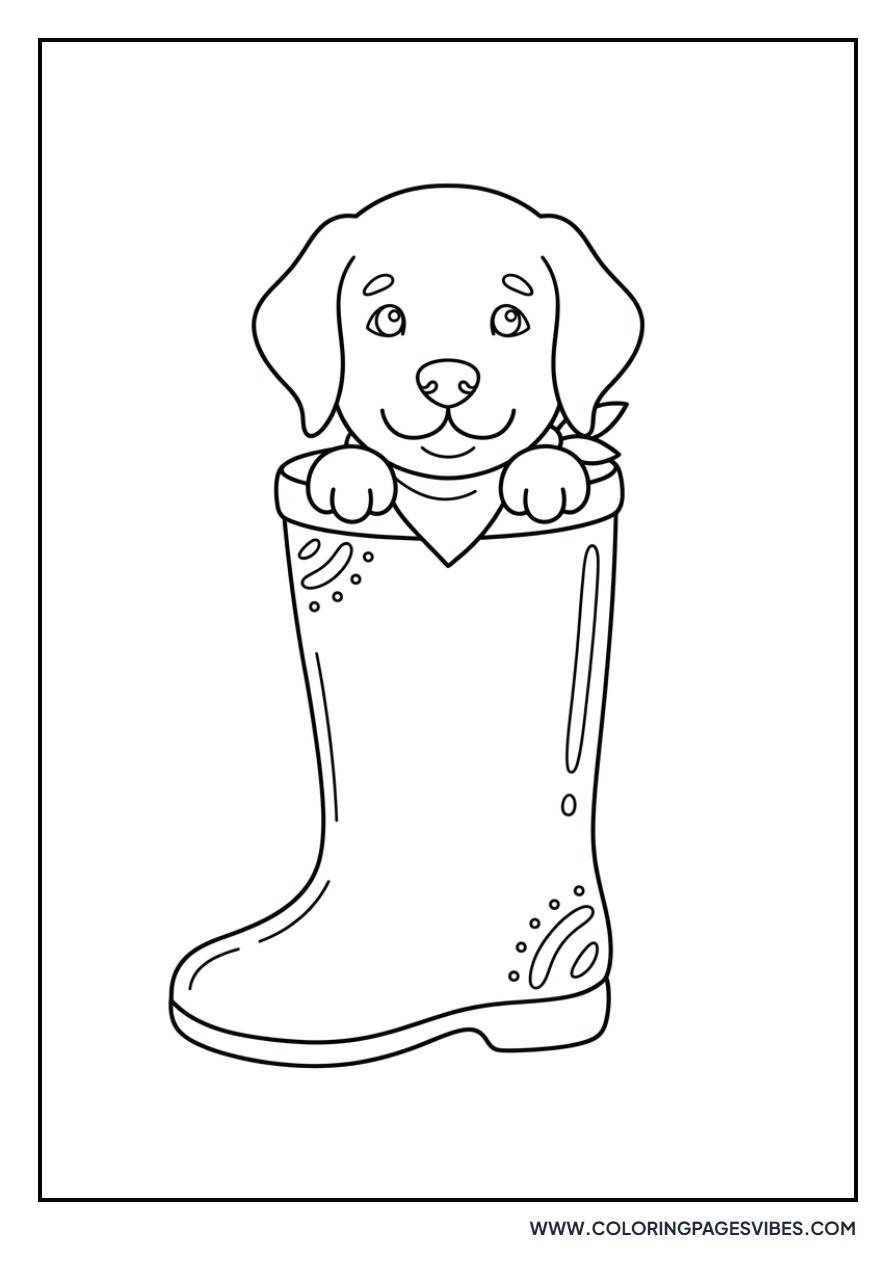 Golden Retriever Puppy in a Rainboot