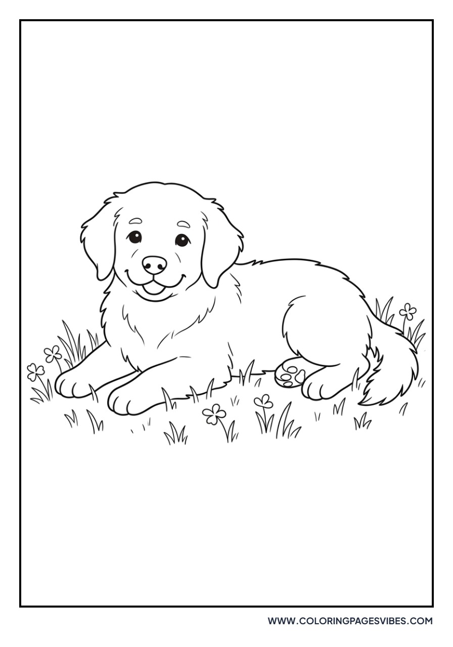 Golden Retriever Puppy in the Grass