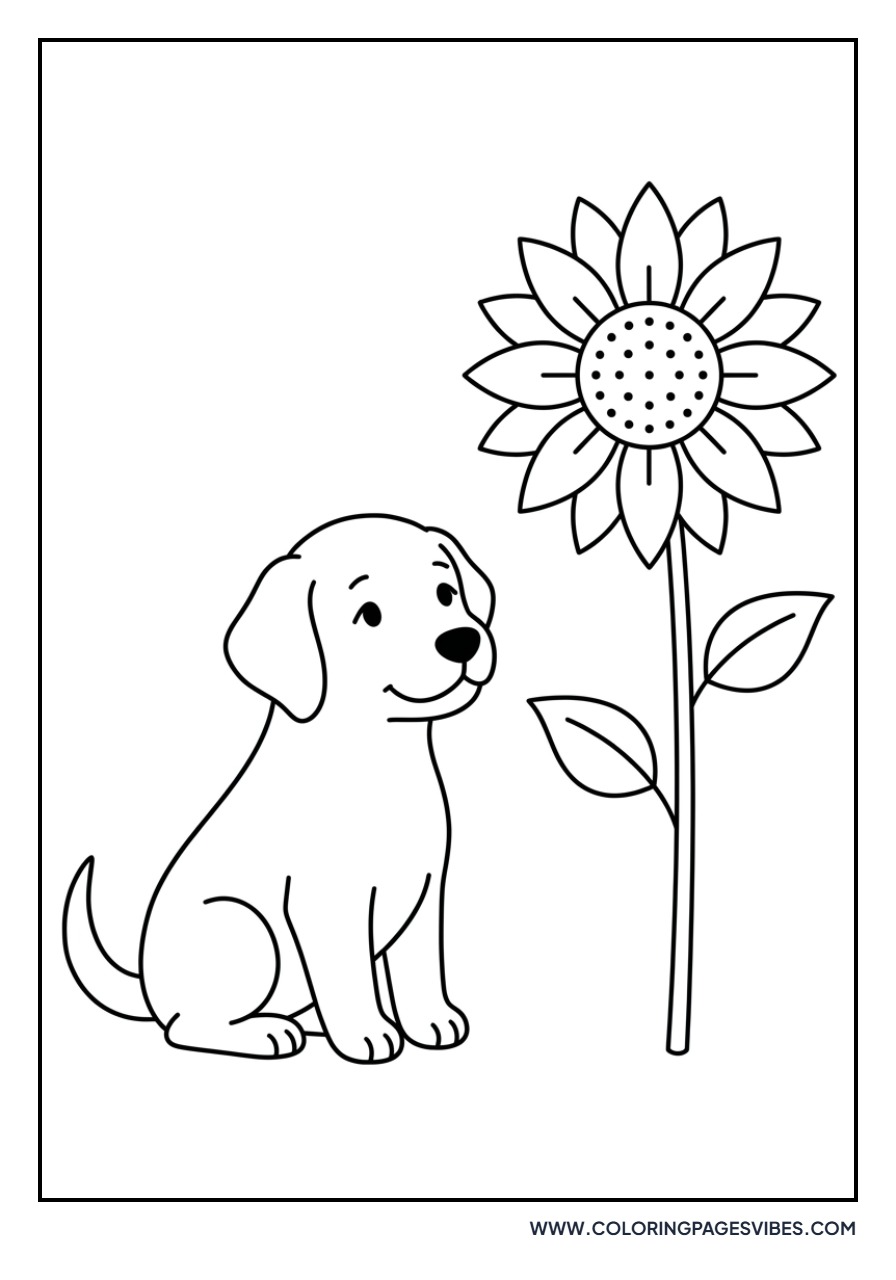 Golden Retriever Puppy with a Sunflower