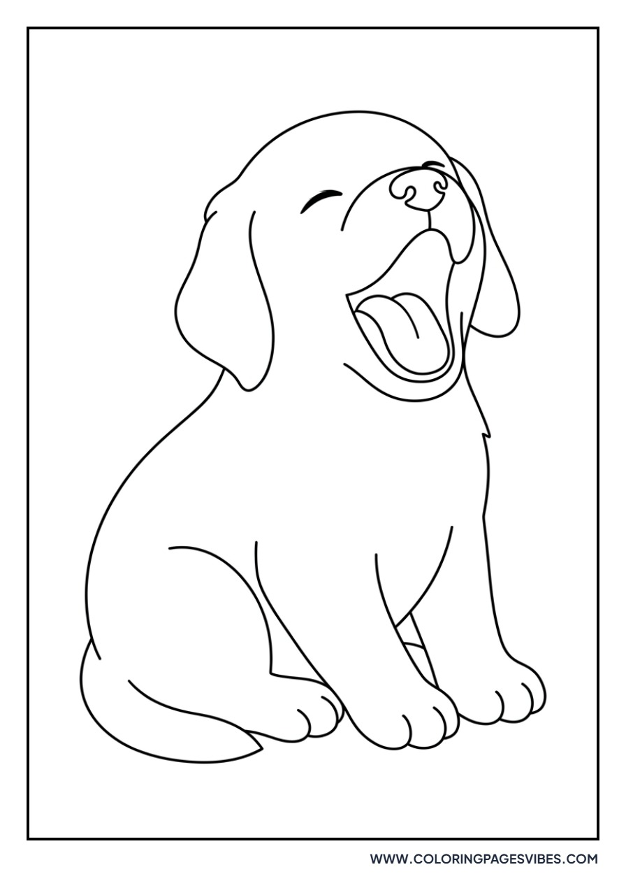 Golden Retriever Puppy Yawning