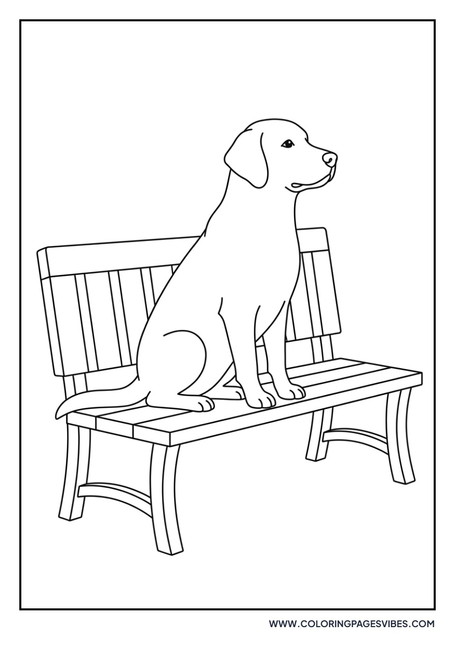Golden Retriever Sitting on a Bench