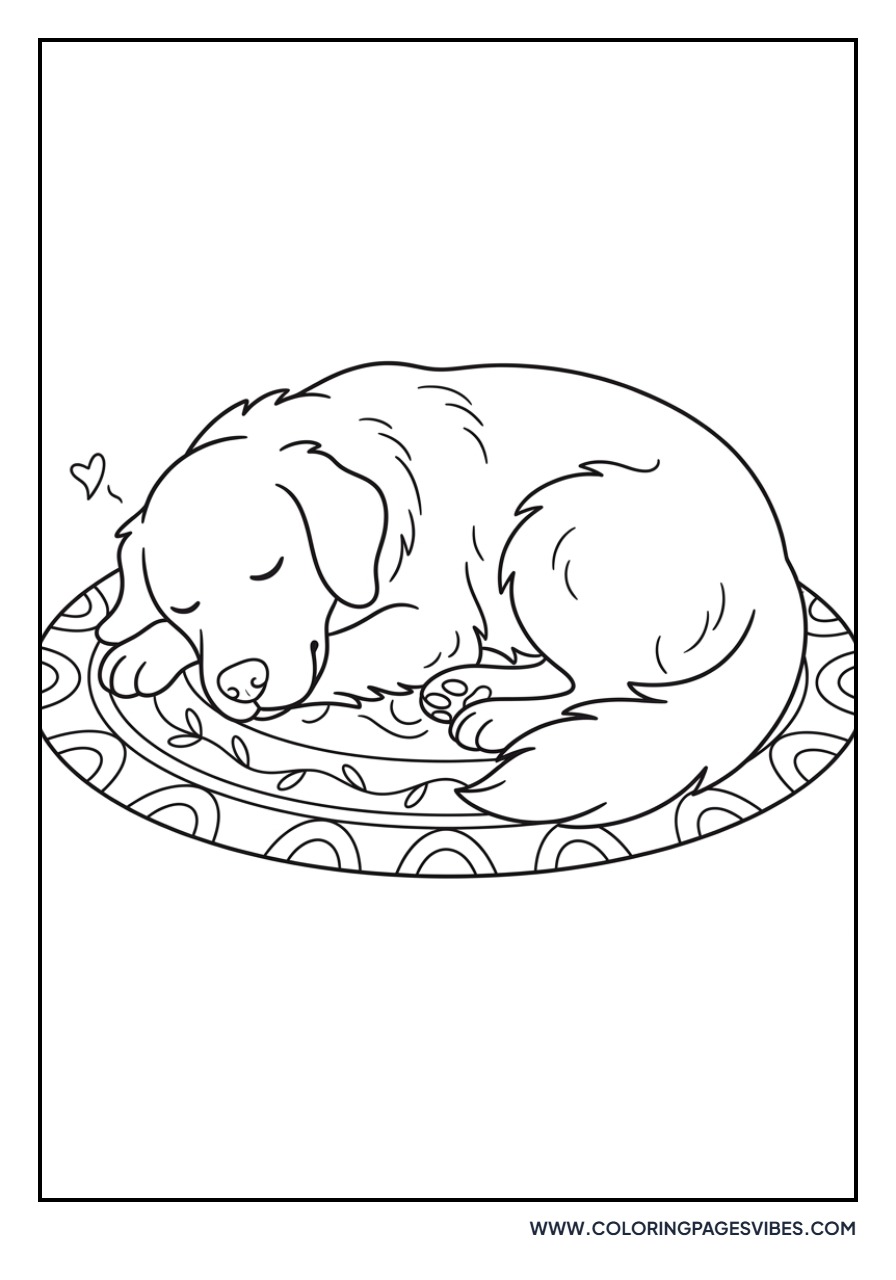 Golden Retriever Sleeping on a Rug