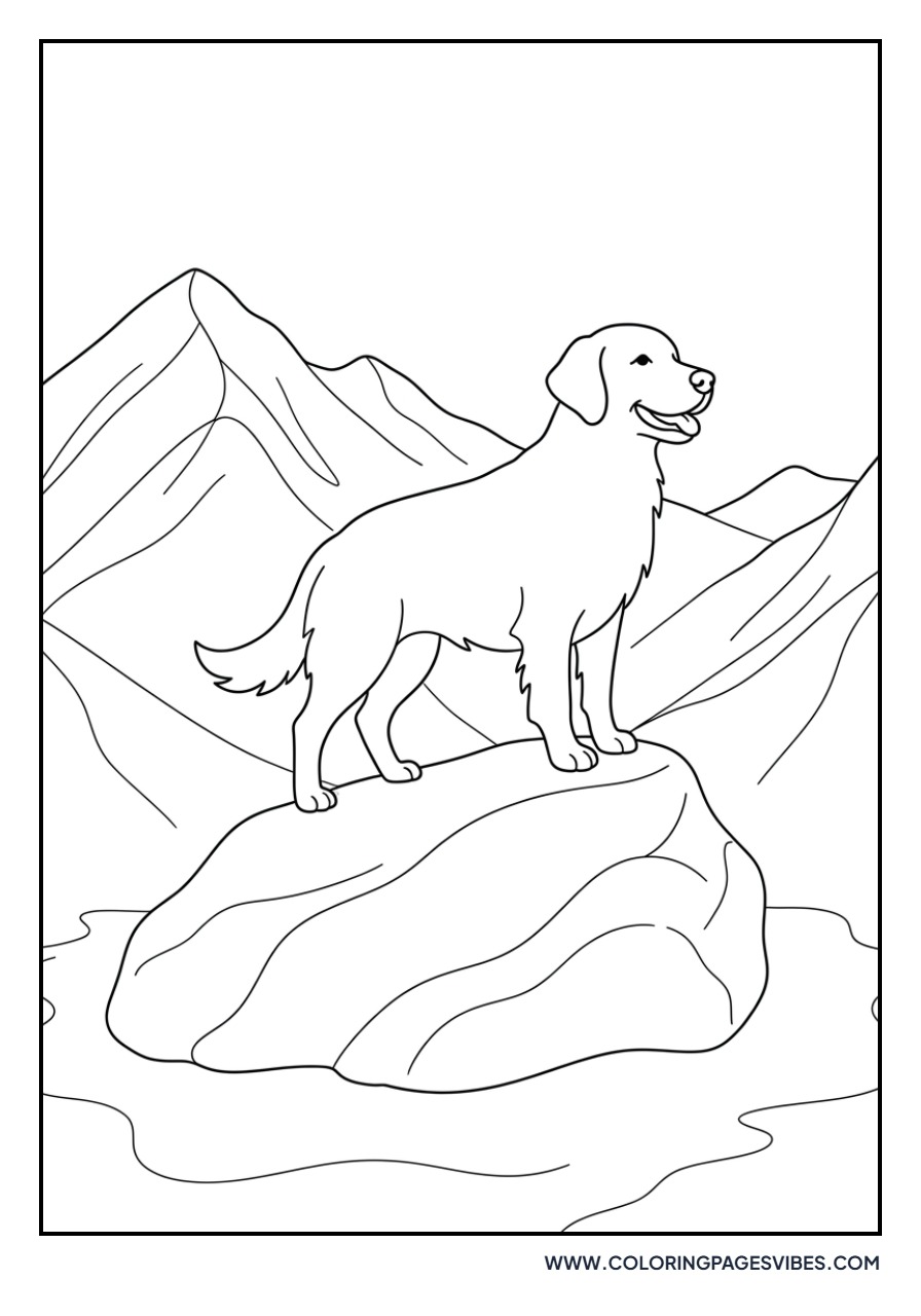 Golden Retriever Standing on a Rock