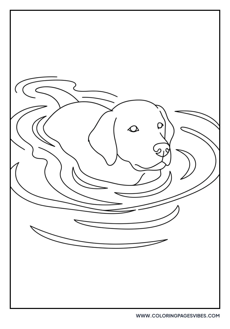 Golden Retriever Swimming in Water
