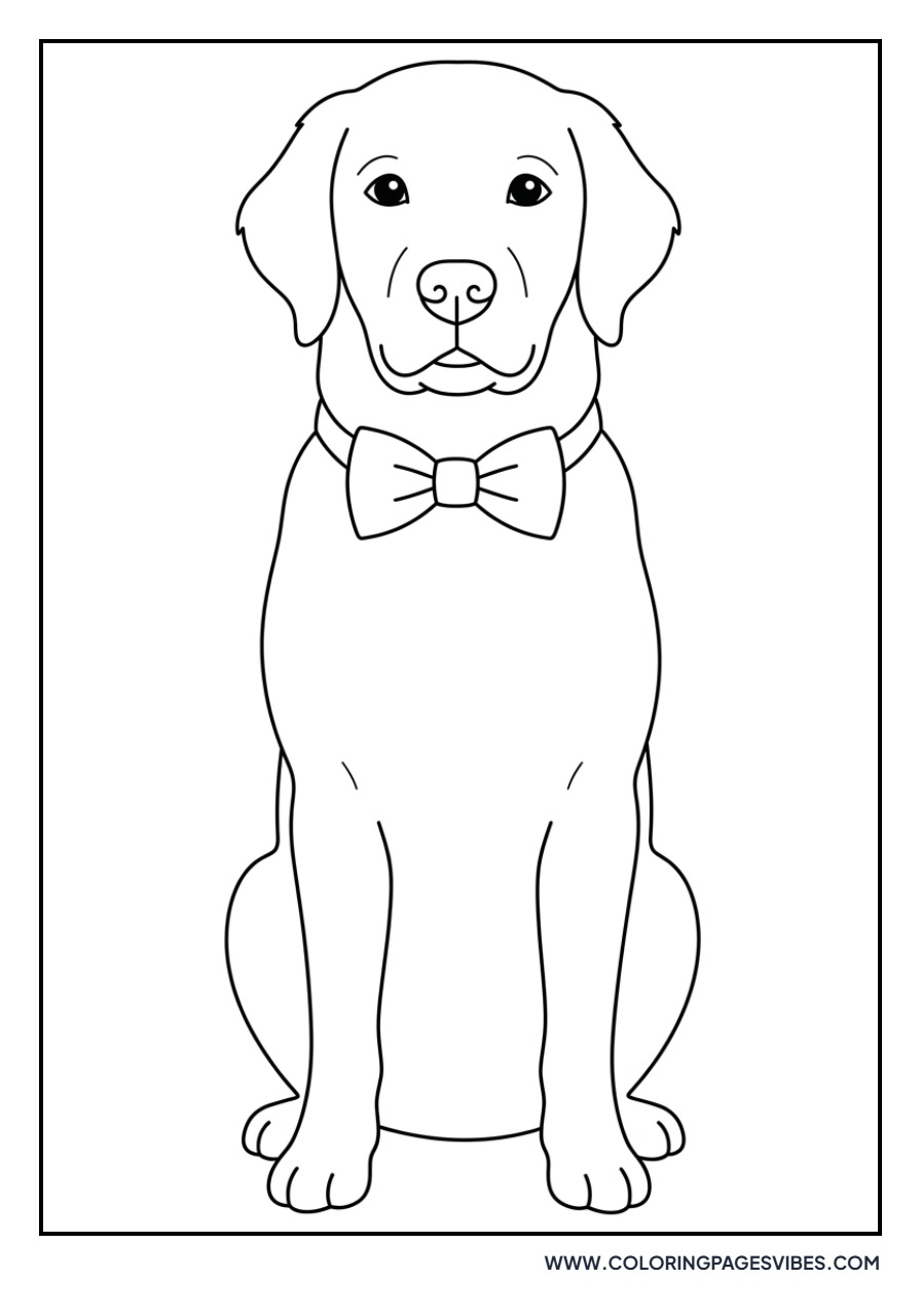 Golden Retriever with a Bow Tie