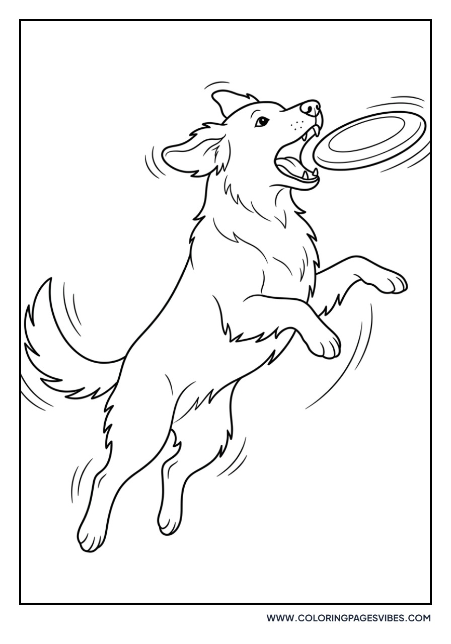 Golden Retriever with a Frisbee