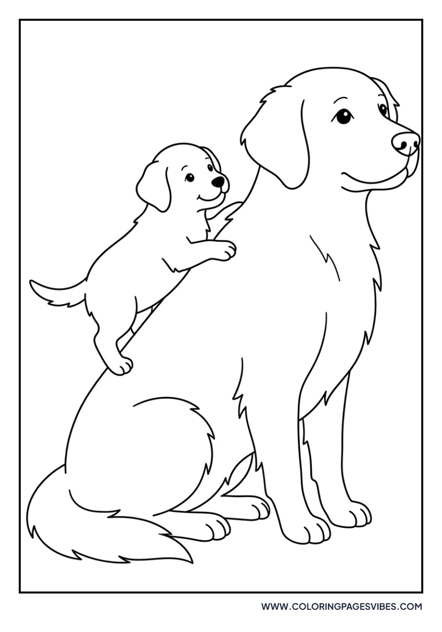 Golden Retriever with a Puppy on its Back