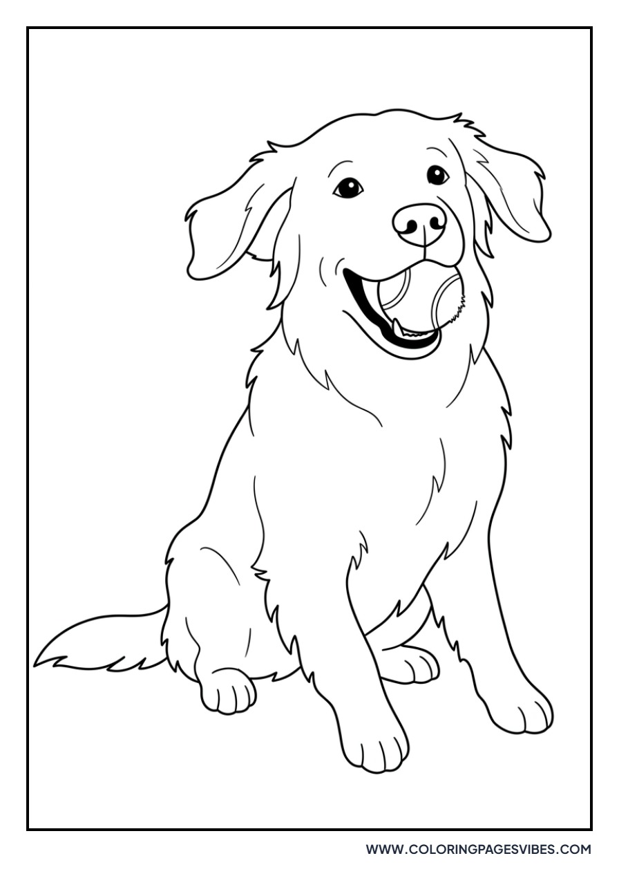 Golden Retriever with Tennis Ball