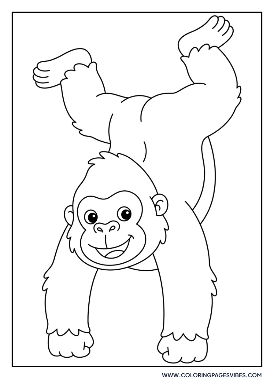 Gorilla Doing a Handstand