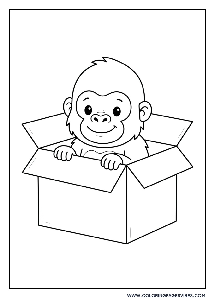 Gorilla in a Box