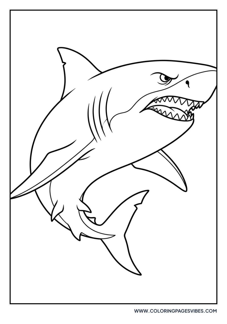 Angry Great White Shark