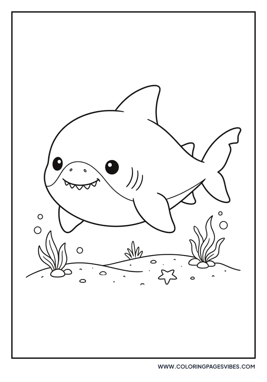 Baby Great White Shark