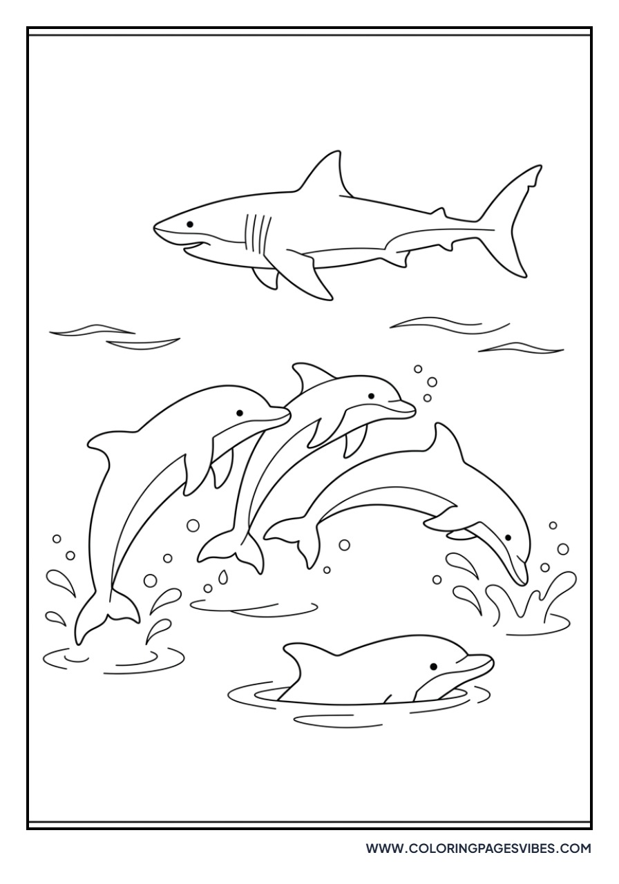 Great White Shark and Dolphins
