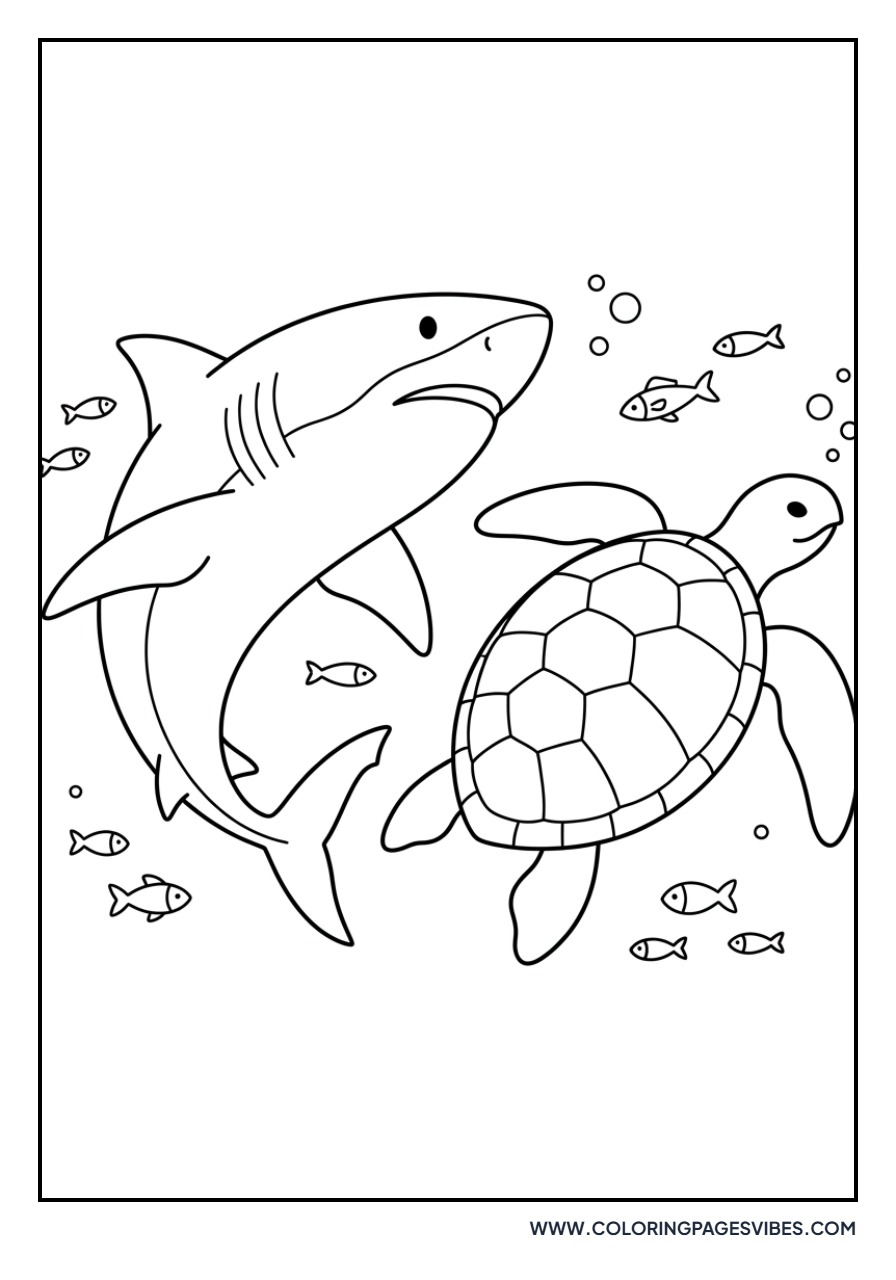 Great White Shark and Sea Turtle