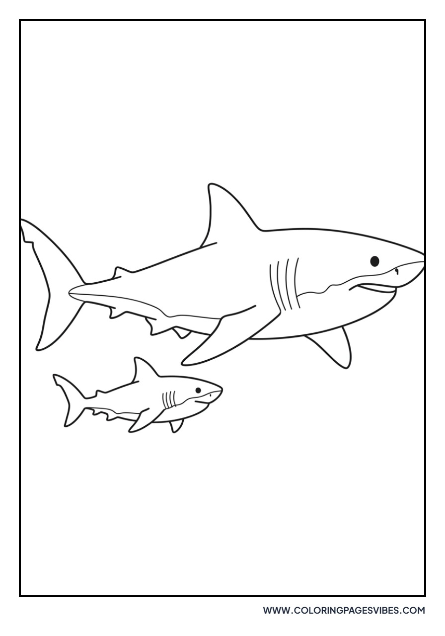 Great White Shark Birth