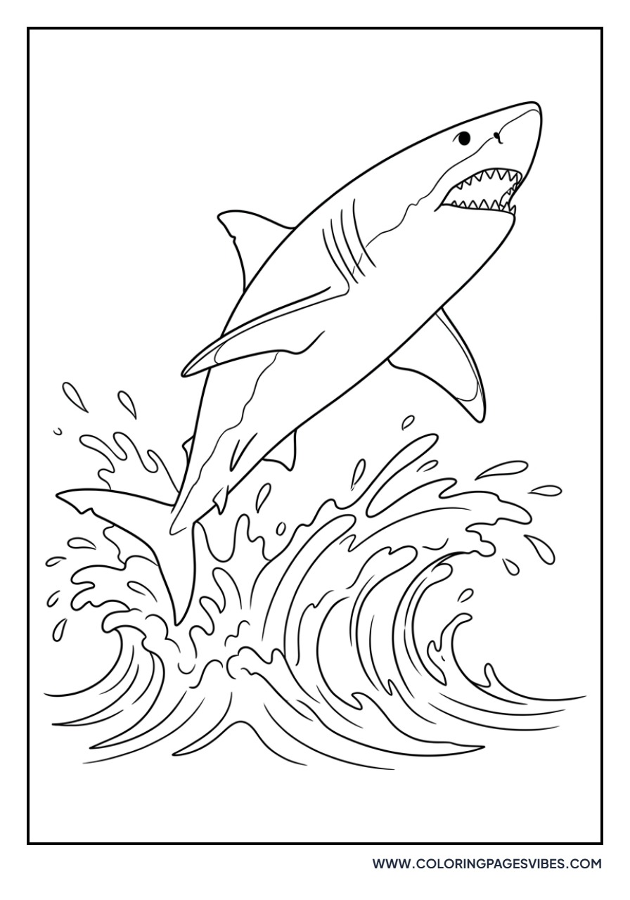 Great White Shark Breaching