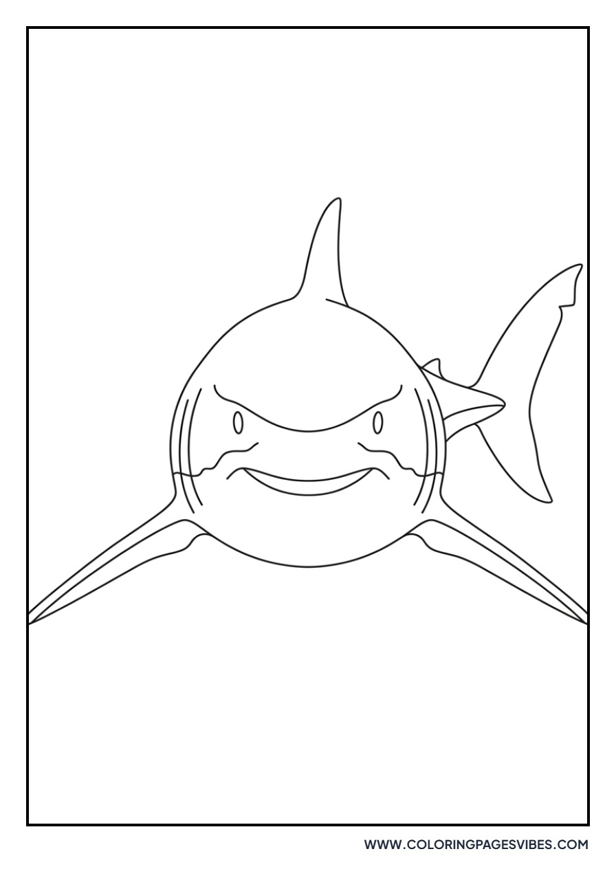 Great White Shark Head-On View