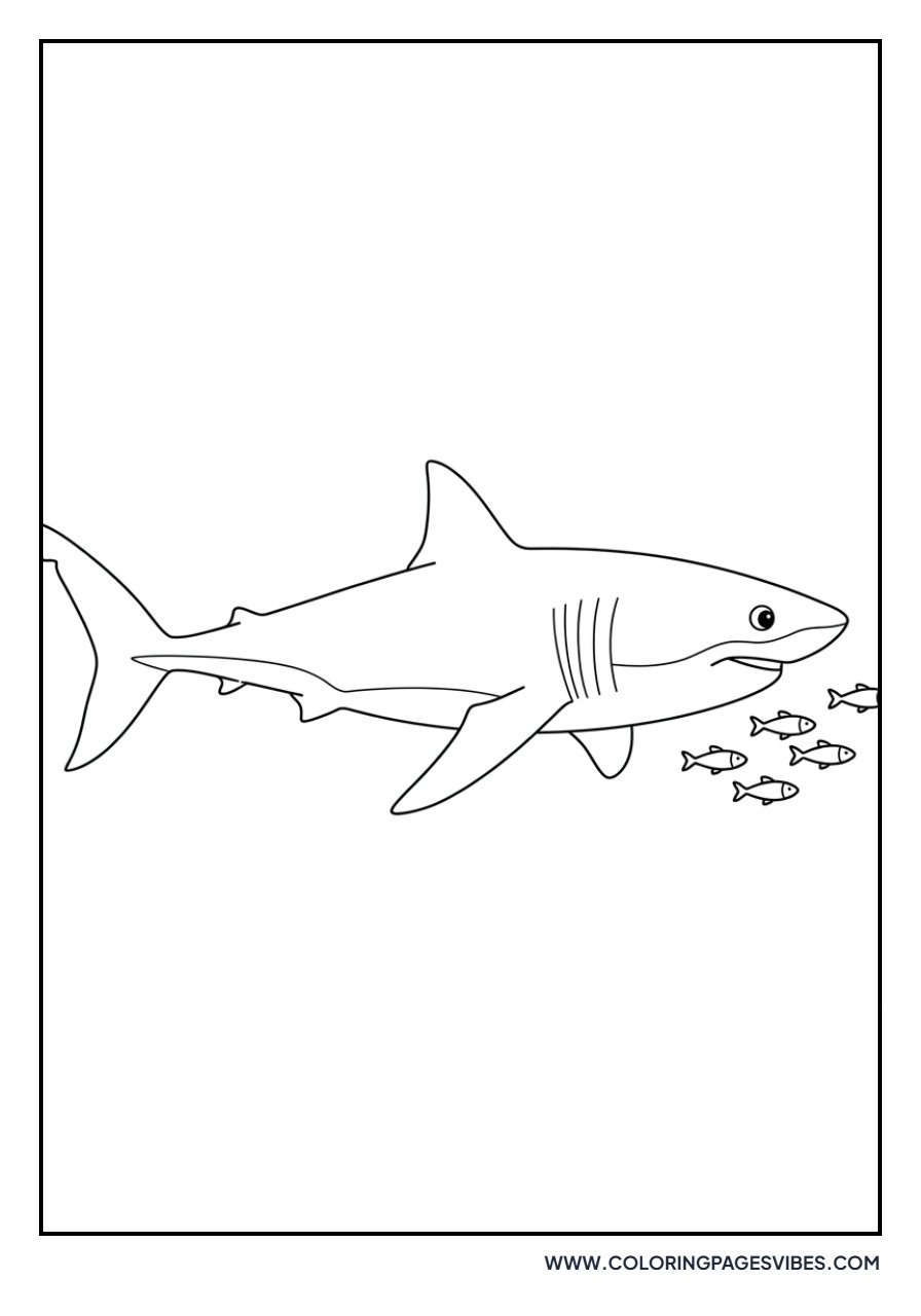 Great White Shark with Pilot Fish
