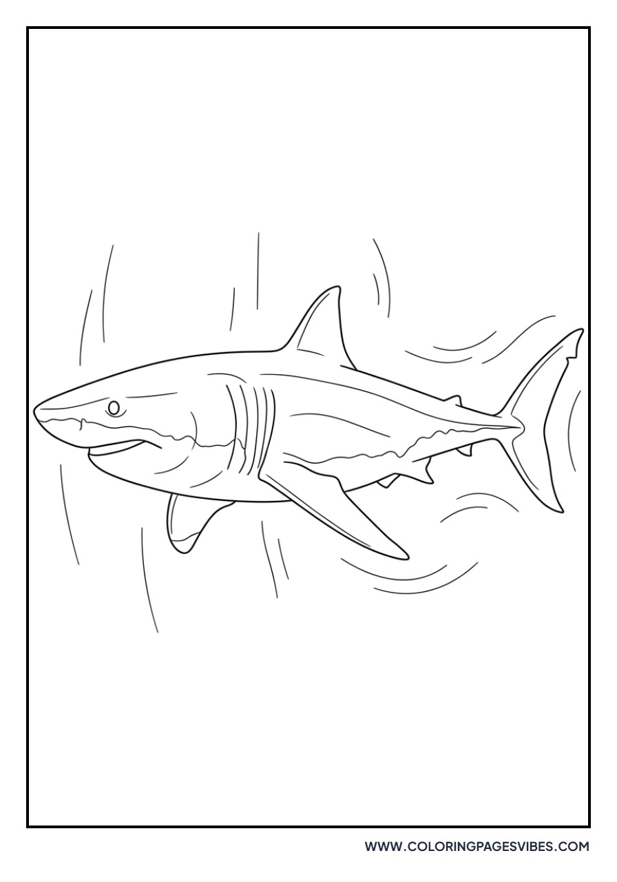Realistic Great White Shark Swimming