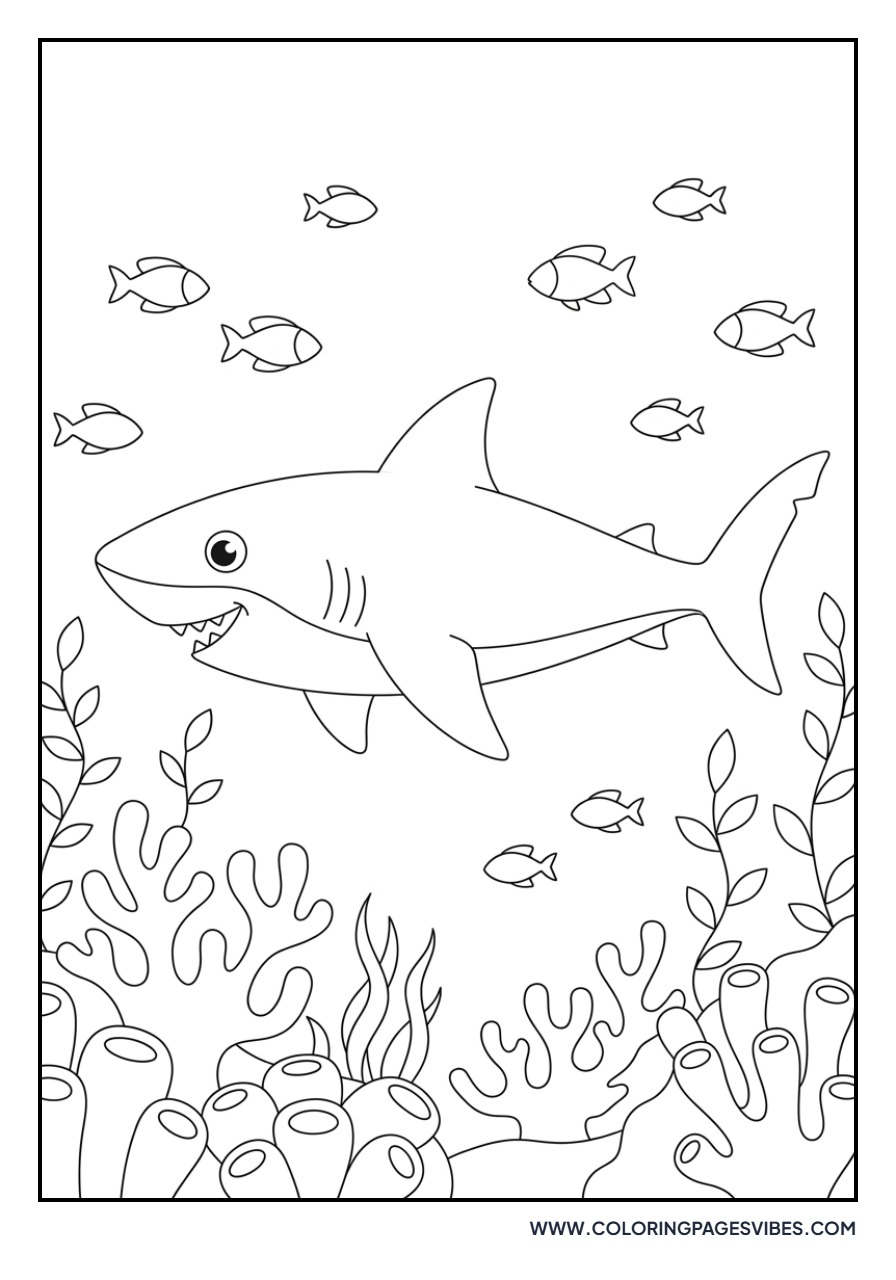 Shark and Coral Reef Scene