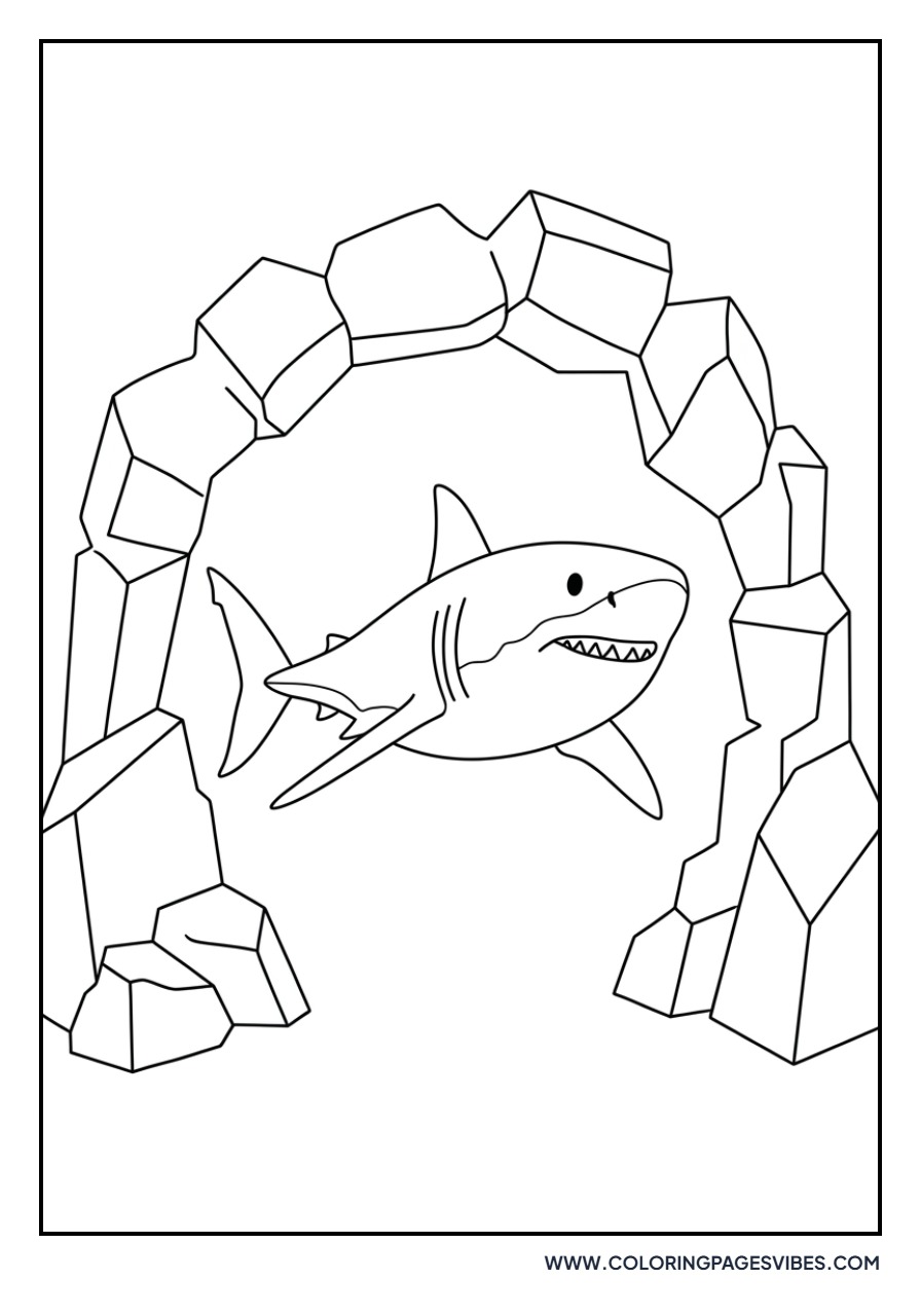 Shark Guarding an Ocean Cave