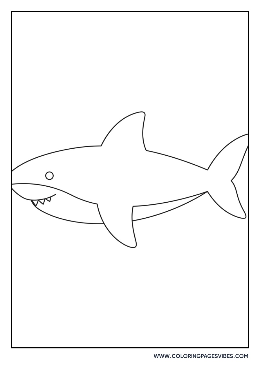 Simplified Shark for Toddlers