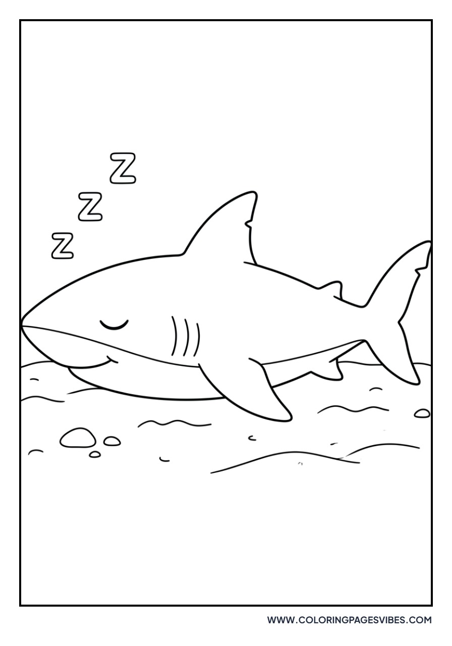 Sleepy Great White Shark