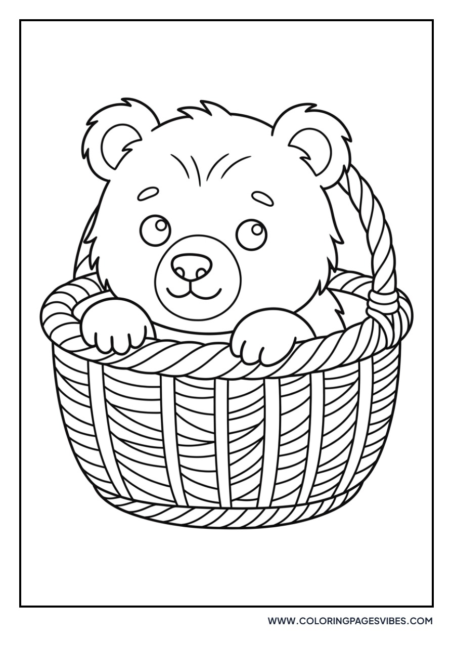 Grizzly Bear Cub in a Basket