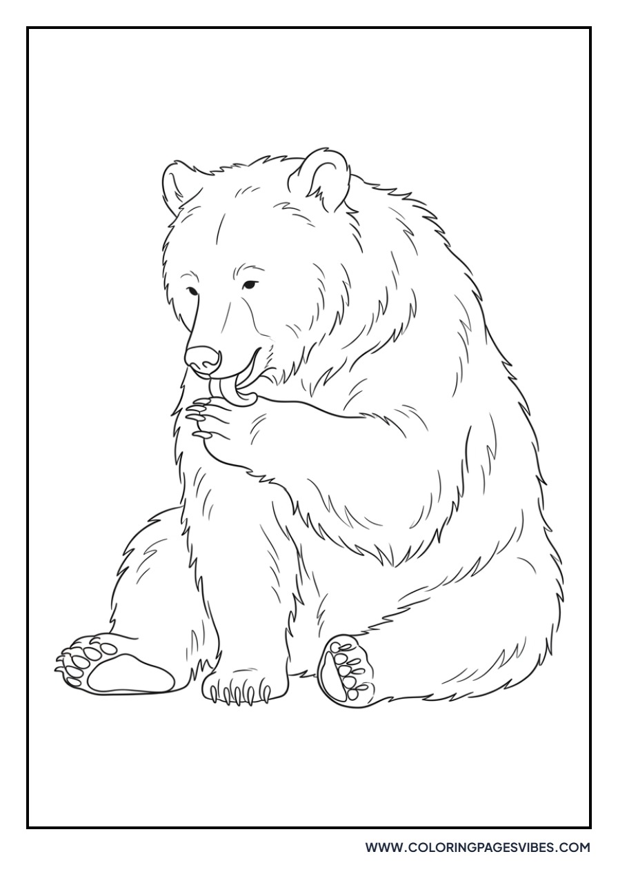 Grizzly Bear Grooming Fur