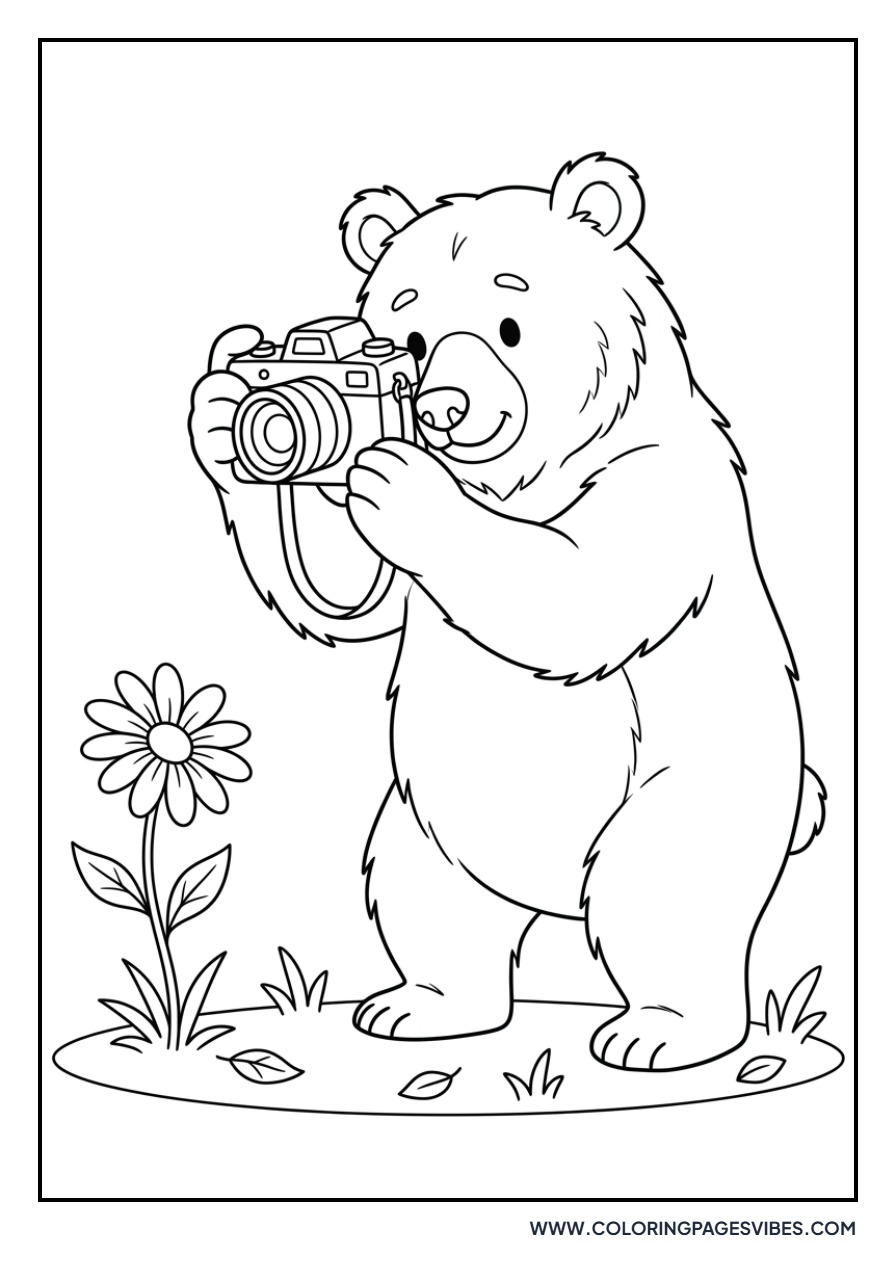 Grizzly Bear Photographer