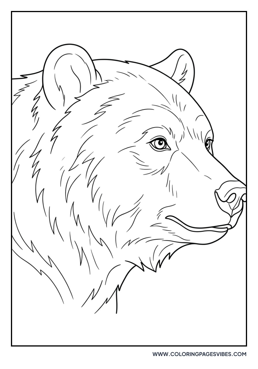 Realistic Grizzly Profile